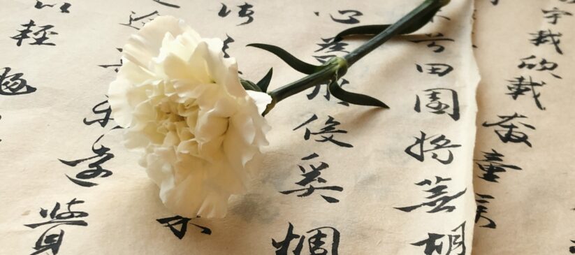 A single carnation on a piece of paper with chinese writing